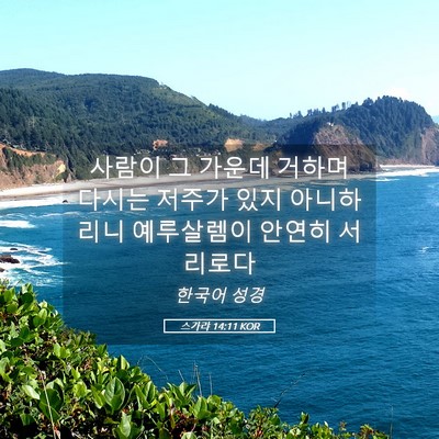 Picture 05 - 스가랴 14:11 KOR - 사람이 그 가운데 거하며 다시는 - Bible Verse Picture