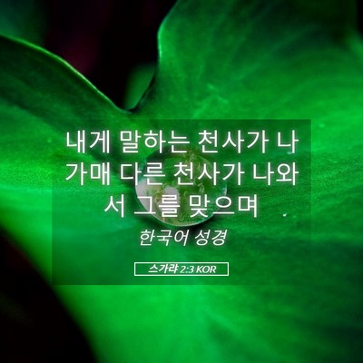 Picture 05 - 스가랴 2:3 KOR - 내게 말하는 천사가 나가매 다른 - Bible Verse Picture