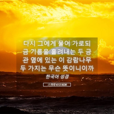 Picture 05 - 스가랴 4:12 KOR - 다시 그에게 물어 가로되 금 기름을 - Bible Verse Picture