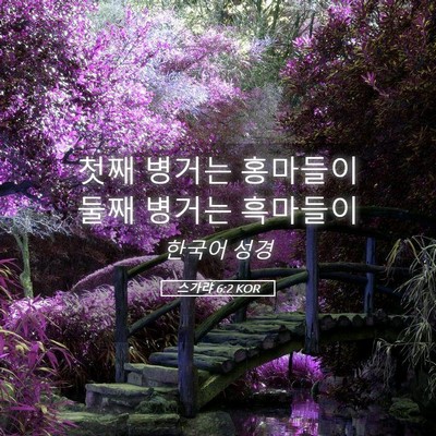 Picture 05 - 스가랴 6:2 KOR - 첫째 병거는 홍마들이 둘째 병거는 - Bible Verse Picture