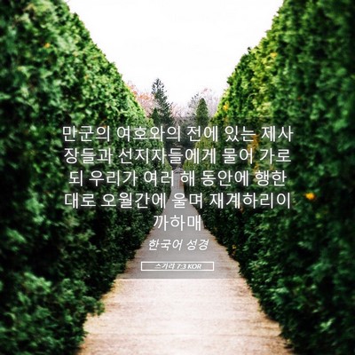 Picture 05 - 스가랴 7:3 KOR - 만군의 여호와의 전에 있는 - Bible Verse Picture