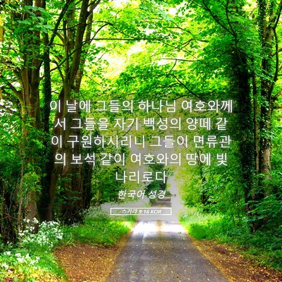 Picture 05 - 스가랴 9:16 KOR - 이 날에 그들의 하나님 여호와께서 - Bible Verse Picture