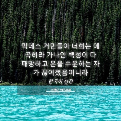 Picture 05 - 스바냐 1:11 KOR - 막데스 거민들아 너희는 애곡하라 - Bible Verse Picture