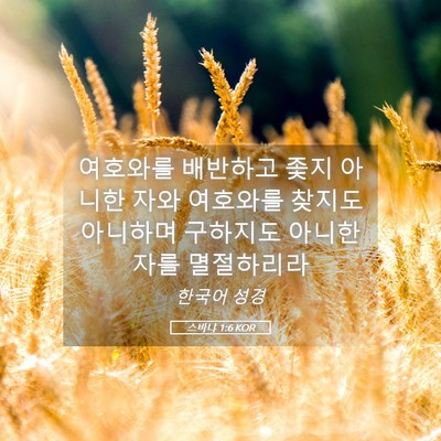 Picture 05 - 스바냐 1:6 KOR - 여호와를 배반하고 좇지 아니한 자와 - Bible Verse Picture