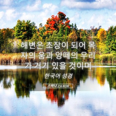 Picture 05 - 스바냐 2:6 KOR - 해변은 초장이 되어 목자의 움과 - Bible Verse Picture
