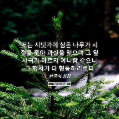 Picture 05 - 시편 1:3 KOR - 저는 시냇가에 심은 나무가 시절을 - Bible Verse Picture