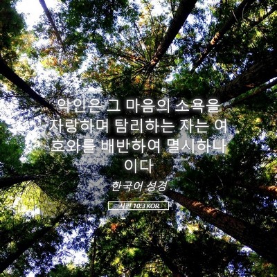 Picture 05 - 시편 10:3 KOR - 악인은 그 마음의 소욕을 자랑하며 - Bible Verse Picture