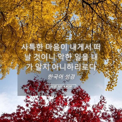 Picture 05 - 시편 101:4 KOR - 사특한 마음이 내게서 떠날 것이니 - Bible Verse Picture