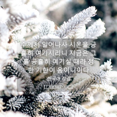 Picture 05 - 시편 102:13 KOR - 주께서 일어나사 시온을 긍휼히 - Bible Verse Picture