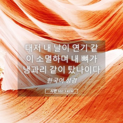 Picture 05 - 시편 102:3 KOR - 대저 내 날이 연기 같이 소멸하며 내 - Bible Verse Picture