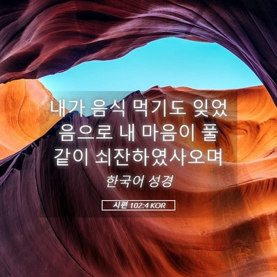 Picture 05 - 시편 102:4 KOR - 내가 음식 먹기도 잊었음으로 내 - Bible Verse Picture