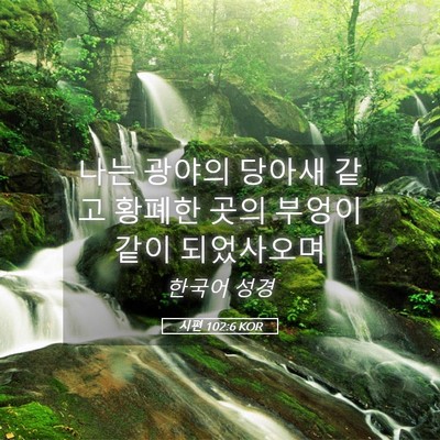 Picture 05 - 시편 102:6 KOR - 나는 광야의 당아새 같고 황폐한 - Bible Verse Picture