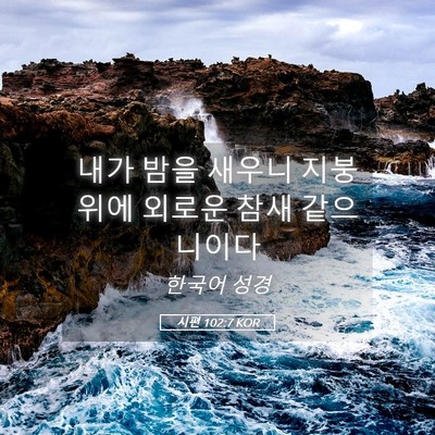 Picture 05 - 시편 102:7 KOR - 내가 밤을 새우니 지붕 위에 외로운 - Bible Verse Picture