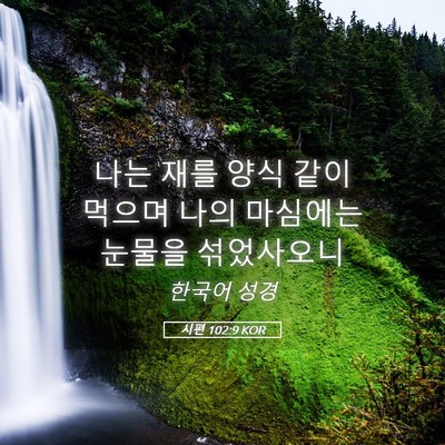 Picture 05 - 시편 102:9 KOR - 나는 재를 양식 같이 먹으며 나의 - Bible Verse Picture