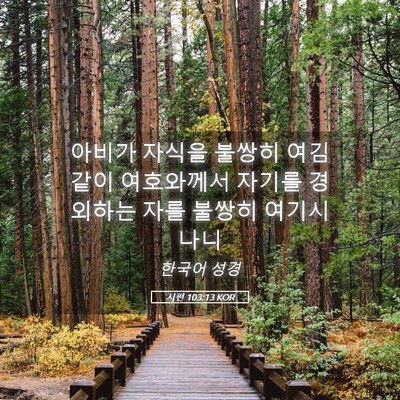 Picture 05 - 시편 103:13 KOR - 아비가 자식을 불쌍히 여김 같이 - Bible Verse Picture
