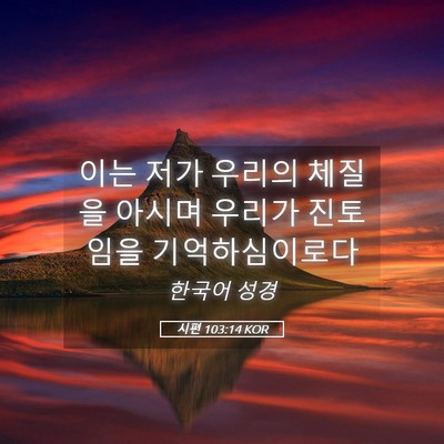 Picture 05 - 시편 103:14 KOR - 이는 저가 우리의 체질을 아시며 - Bible Verse Picture