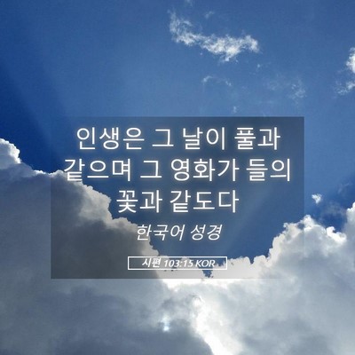 Picture 05 - 시편 103:15 KOR - 인생은 그 날이 풀과 같으며 그 - Bible Verse Picture