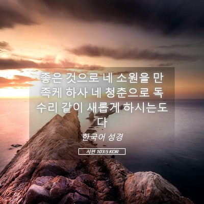 Picture 05 - 시편 103:5 KOR - 좋은 것으로 네 소원을 만족케 하사 - Bible Verse Picture