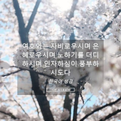 Picture 05 - 시편 103:8 KOR - 여호와는 자비로우시며 - Bible Verse Picture