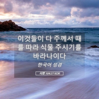 Picture 05 - 시편 104:27 KOR - 이것들이 다 주께서 때를 따라 식물 - Bible Verse Picture