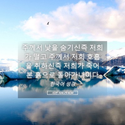 Picture 05 - 시편 104:29 KOR - 주께서 낯을 숨기신즉 저희가 떨고 - Bible Verse Picture