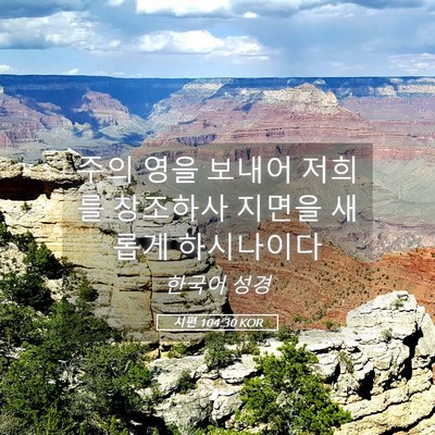 Picture 05 - 시편 104:30 KOR - 주의 영을 보내어 저희를 창조하사 - Bible Verse Picture