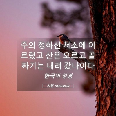 Picture 05 - 시편 104:8 KOR - 주의 정하신 처소에 이르렀고 산은 - Bible Verse Picture