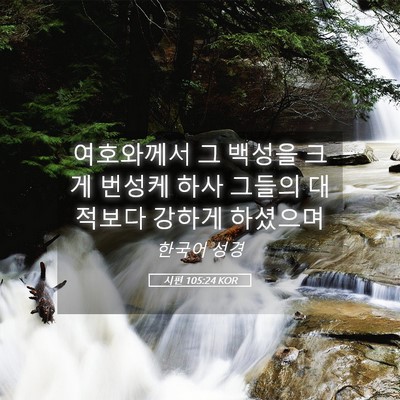 Picture 05 - 시편 105:24 KOR - 여호와께서 그 백성을 크게 번성케 - Bible Verse Picture