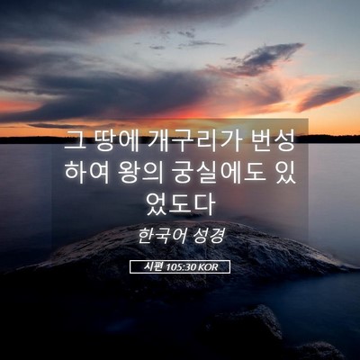 Picture 05 - 시편 105:30 KOR - 그 땅에 개구리가 번성하여 왕의 - Bible Verse Picture