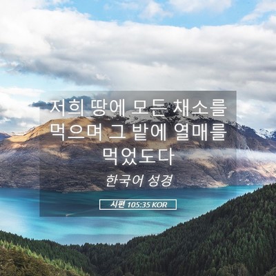 Picture 05 - 시편 105:35 KOR - 저희 땅에 모든 채소를 먹으며 그 - Bible Verse Picture