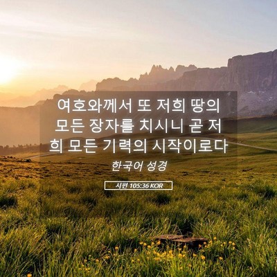 Picture 05 - 시편 105:36 KOR - 여호와께서 또 저희 땅의 모든 - Bible Verse Picture