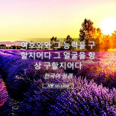 Picture 05 - 시편 105:4 KOR - 여호와와 그 능력을 구할지어다 그 - Bible Verse Picture