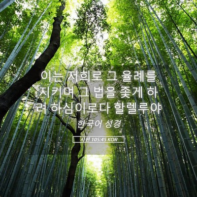 Picture 05 - 시편 105:45 KOR - 이는 저희로 그 율례를 지키며 그 - Bible Verse Picture