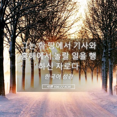 Picture 05 - 시편 106:22 KOR - 그는 함 땅에서 기사와 홍해에서 - Bible Verse Picture