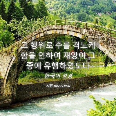 Picture 05 - 시편 106:29 KOR - 그 행위로 주를 격노케 함을 인하여 - Bible Verse Picture