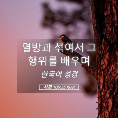 Picture 05 - 시편 106:35 KOR - 열방과 섞여서 그 행위를 - Bible Verse Picture