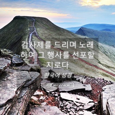Picture 05 - 시편 107:22 KOR - 감사제를 드리며 노래하여 그 행사를 - Bible Verse Picture