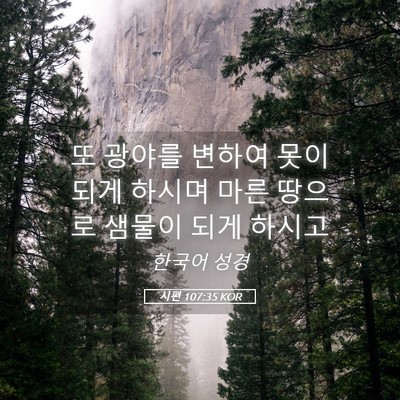 Picture 05 - 시편 107:35 KOR - 또 광야를 변하여 못이 되게 하시며 - Bible Verse Picture