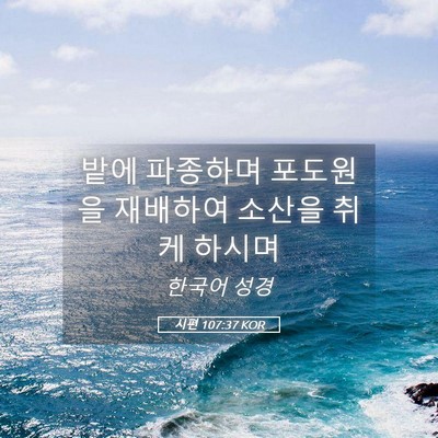 Picture 05 - 시편 107:37 KOR - 밭에 파종하며 포도원을 재배하여 - Bible Verse Picture