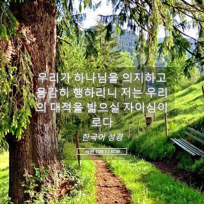 Picture 05 - 시편 108:13 KOR - 우리가 하나님을 의지하고 용감히 - Bible Verse Picture
