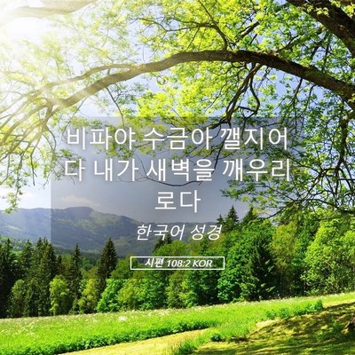 Picture 05 - 시편 108:2 KOR - 비파야 수금아 깰지어다 내가 새벽을 - Bible Verse Picture