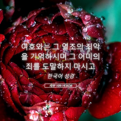 Picture 05 - 시편 109:14 KOR - 여호와는 그 열조의 죄악을 - Bible Verse Picture