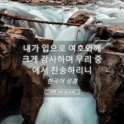Picture 05 - 시편 109:30 KOR - 내가 입으로 여호와께 크게 감사하며 - Bible Verse Picture