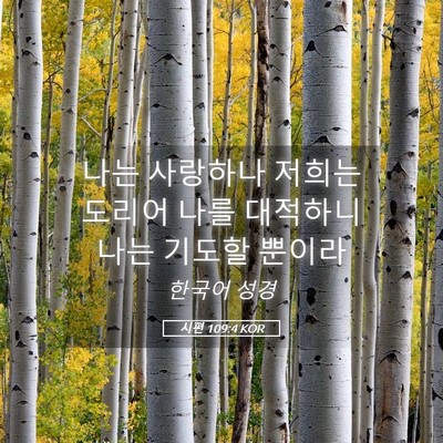 Picture 05 - 시편 109:4 KOR - 나는 사랑하나 저희는 도리어 나를 - Bible Verse Picture
