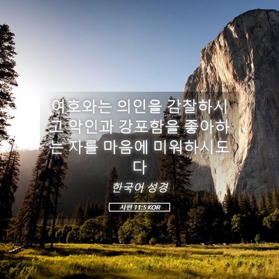 Picture 05 - 시편 11:5 KOR - 여호와는 의인을 감찰하시고 악인과 - Bible Verse Picture