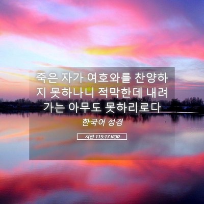 Picture 05 - 시편 115:17 KOR - 죽은 자가 여호와를 찬양하지 - Bible Verse Picture