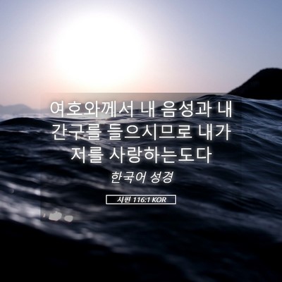 Picture 05 - 시편 116:1 KOR - 여호와께서 내 음성과 내 간구를 - Bible Verse Picture