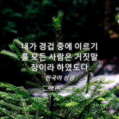Picture 05 - 시편 116:11 KOR - 내가 경겁 중에 이르기를 모든 - Bible Verse Picture