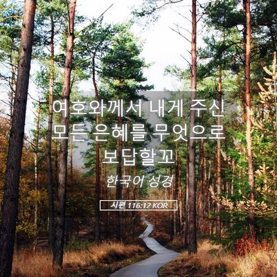 Picture 05 - 시편 116:12 KOR - 여호와께서 내게 주신 모든 은혜를 - Bible Verse Picture