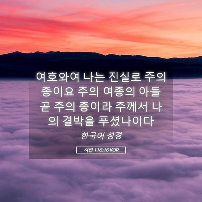 Picture 05 - 시편 116:16 KOR - 여호와여 나는 진실로 주의 종이요 - Bible Verse Picture